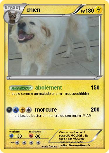 Pokemon chien