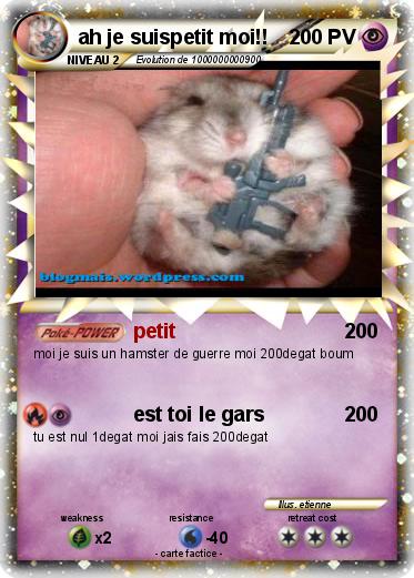 Pokemon ah je suispetit moi!!