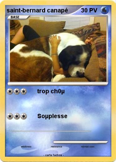 Pokemon saint-bernard canapé