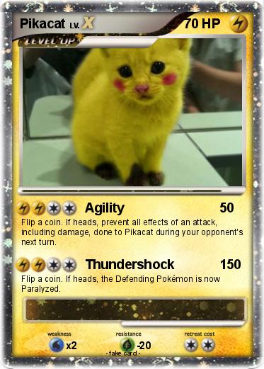 Pokemon Pikacat