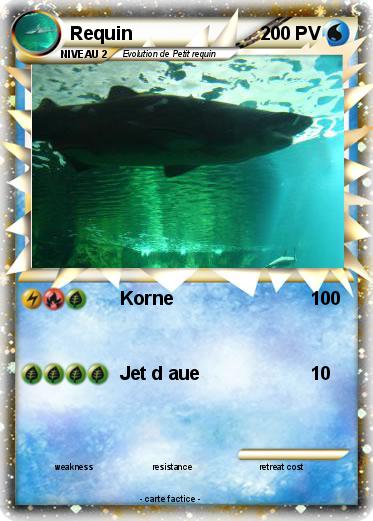 Pokemon Requin