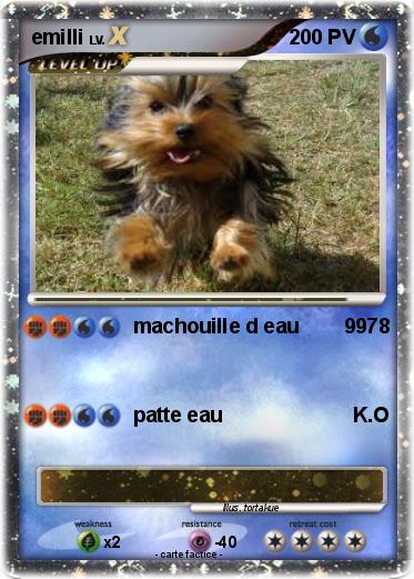 Pokemon emilli