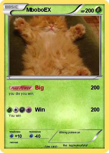Pokemon MboboEX