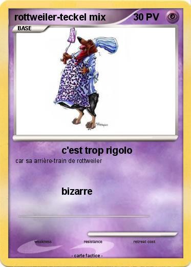 Pokemon rottweiler-teckel mix