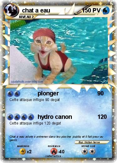 Pokemon chat a eau