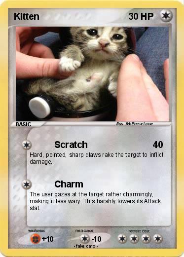 Pokemon Kitten