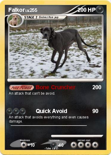 Pokemon Falkor