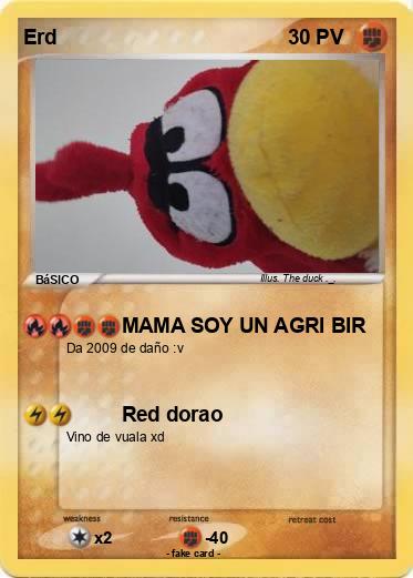 Pokemon Erd
