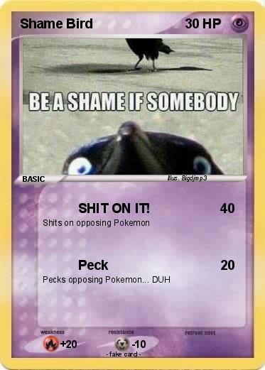 Pokemon Shame Bird