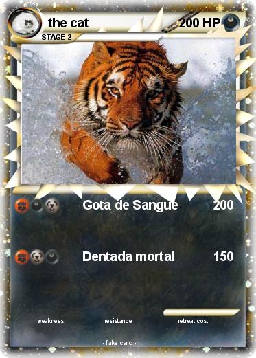 Pokemon the cat