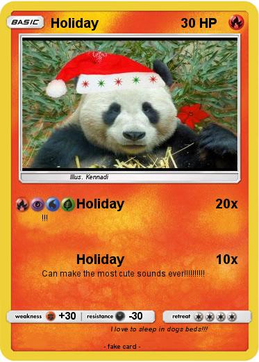 Pokemon Holiday