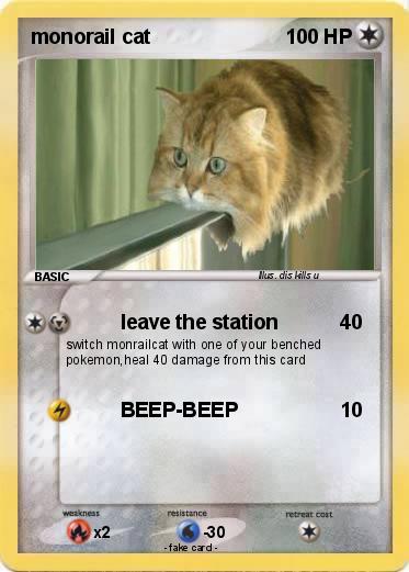 Pokemon monorail cat