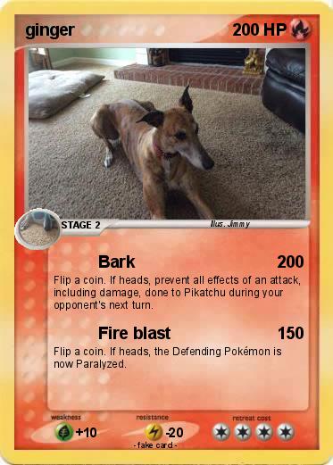 Pokemon ginger