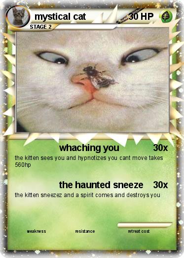Pokemon mystical cat