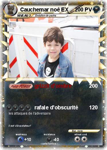 Pokemon Cauchemar noé EX