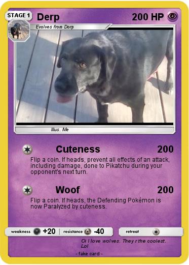 Pokemon Derp