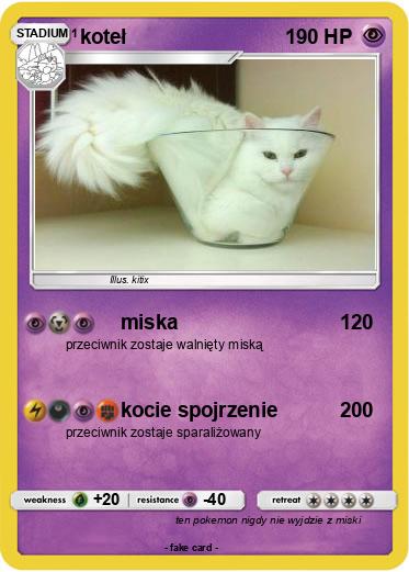 Pokemon koteł