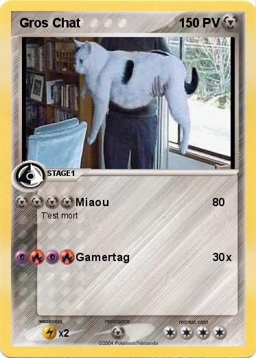 Pokemon Gros Chat
