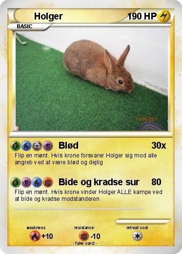 Pokemon Holger