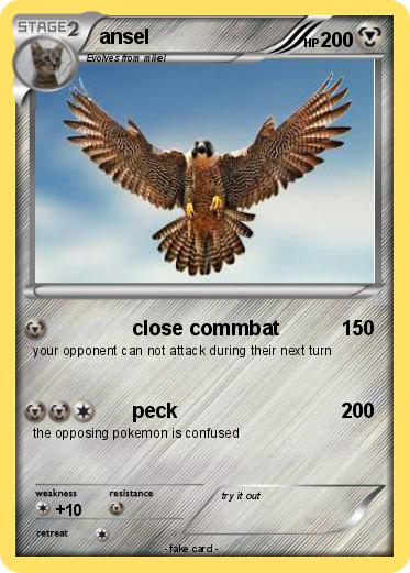 Pokemon ansel