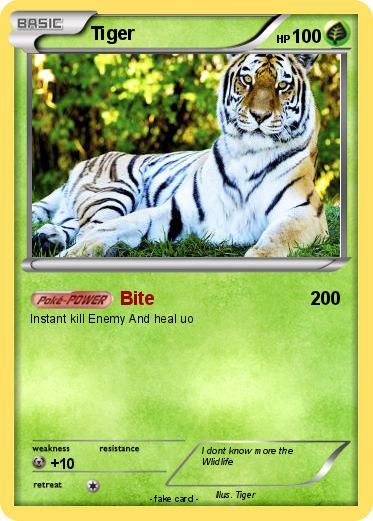 Pokemon Tiger