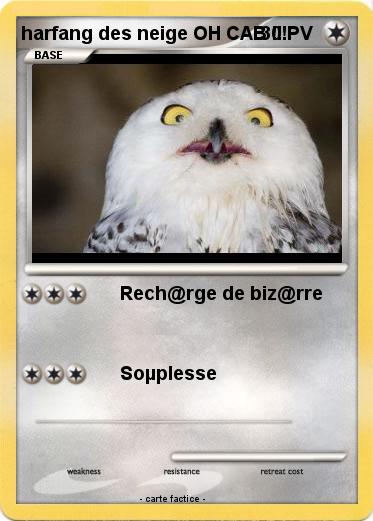 Pokemon harfang des neige OH CAB !!!