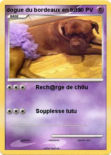 Pokemon dogue du bordeaux en tutu