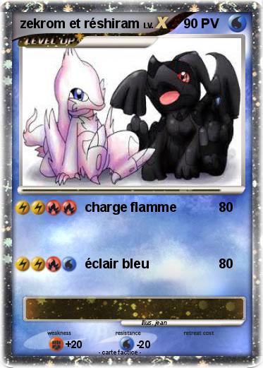 Pokemon zekrom et réshiram