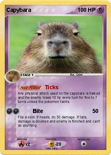 Pokemon Capybara