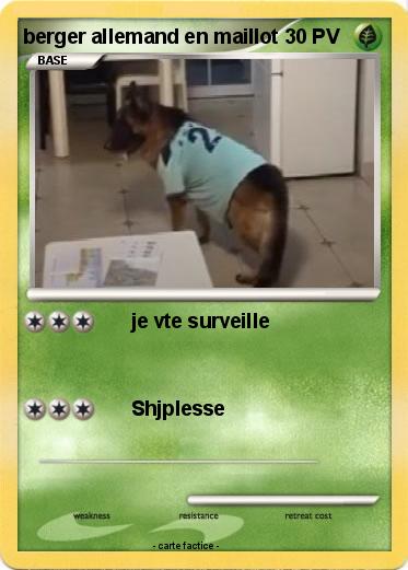 Pokemon berger allemand en maillot