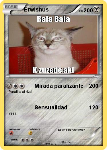 Pokemon Erwishus