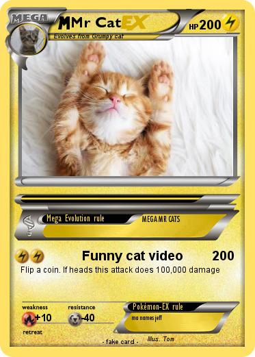 Pokemon Mr Cat