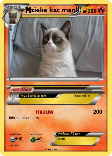 Pokemon zieke kat man!!!