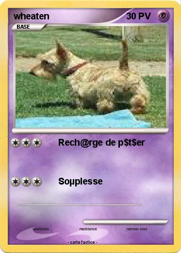 Pokemon wheaten