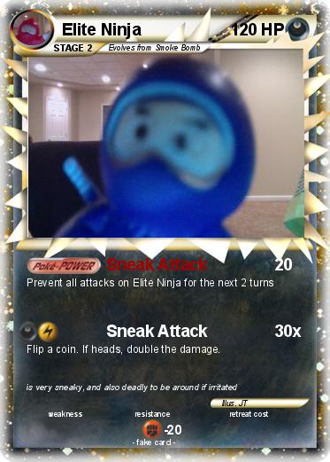 Pokemon Elite Ninja