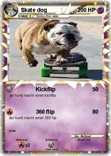 Pokemon Skate dog