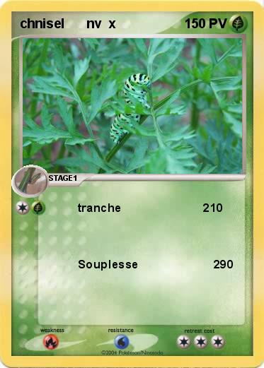 Pokemon chnisel      nv  x                                                                