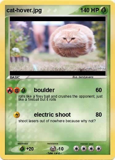 Pokemon cat-hover.jpg