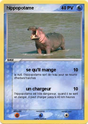 Pokemon hippopotame