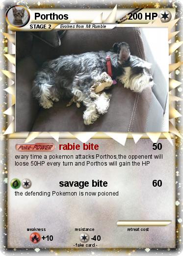 Pokemon Porthos