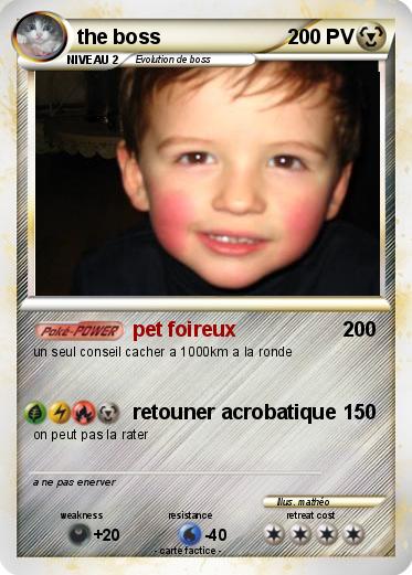 Pokemon the boss