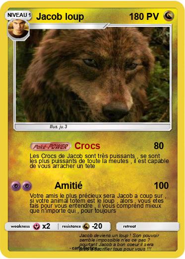 Pokemon Jacob loup