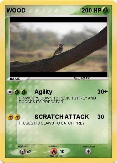 Pokemon WOOD