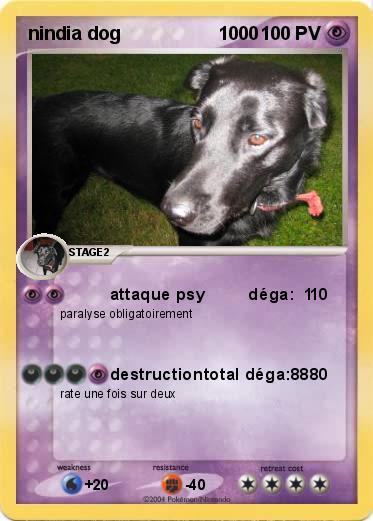 Pokemon nindia dog                   1000