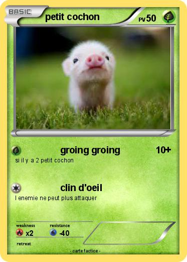 Pokemon petit cochon