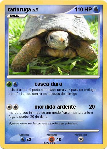 Pokemon tartaruga
