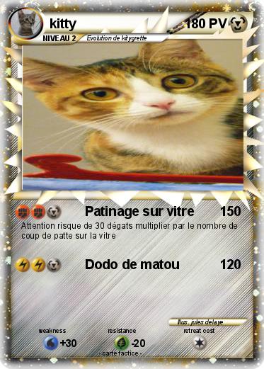 Pokemon kitty