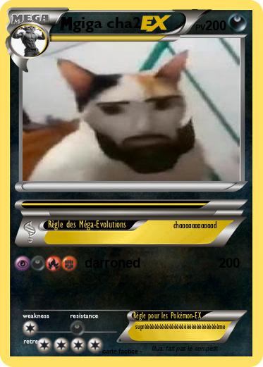 Pokemon giga cha2