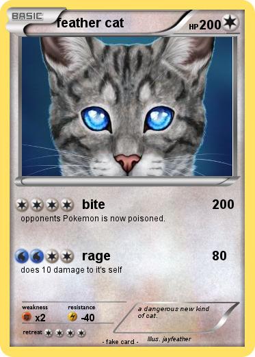 Pokemon feather cat