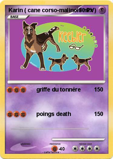 Pokemon Karin ( cane corso-malinois mix )